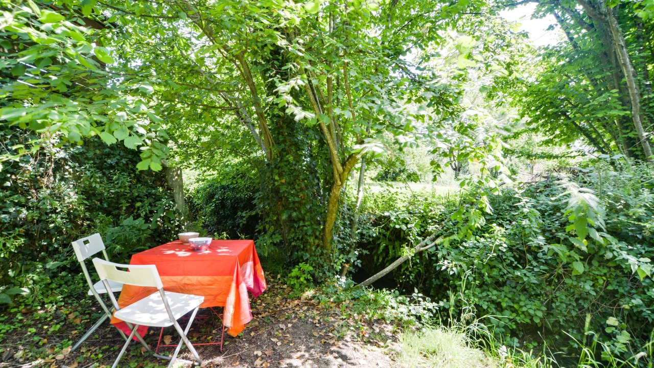 Photo of Outdoor in Chissay-en-Touraine