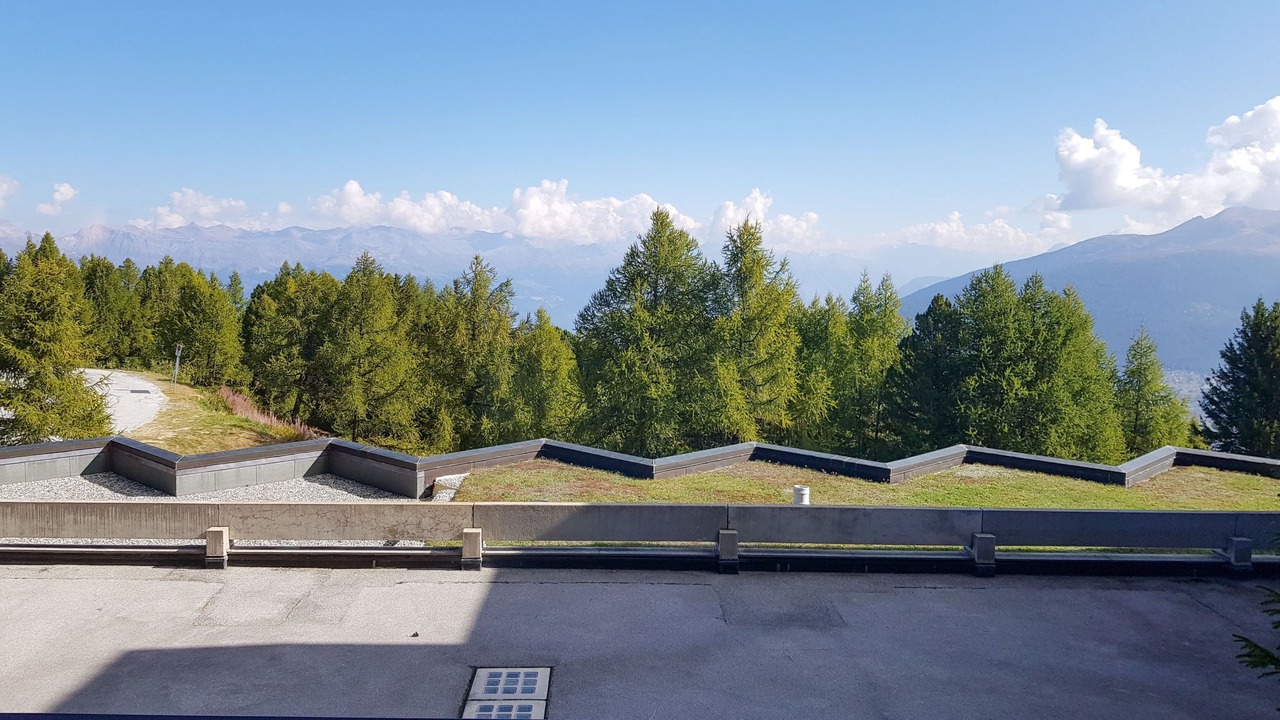 Photo of Others in Vex