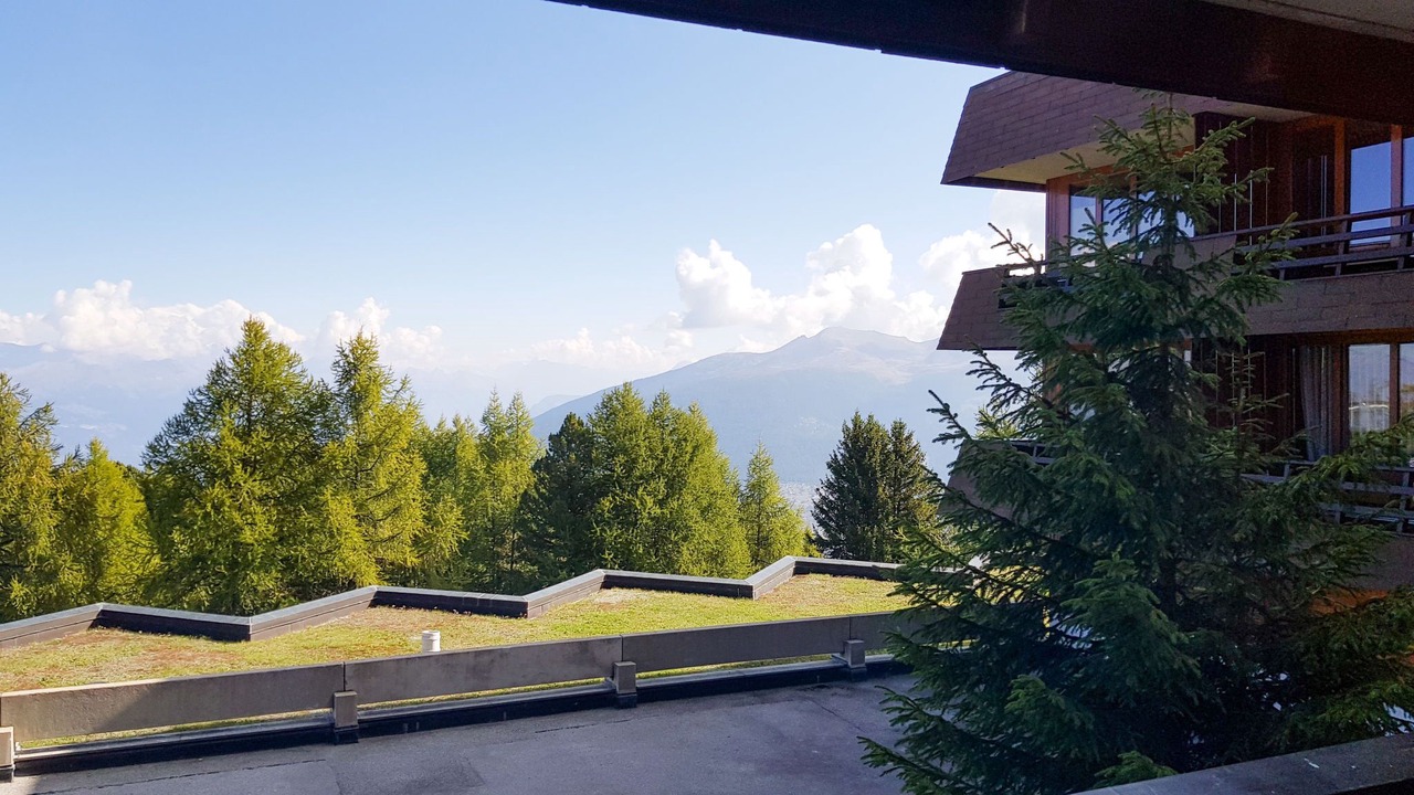 Photo of Others in Vex