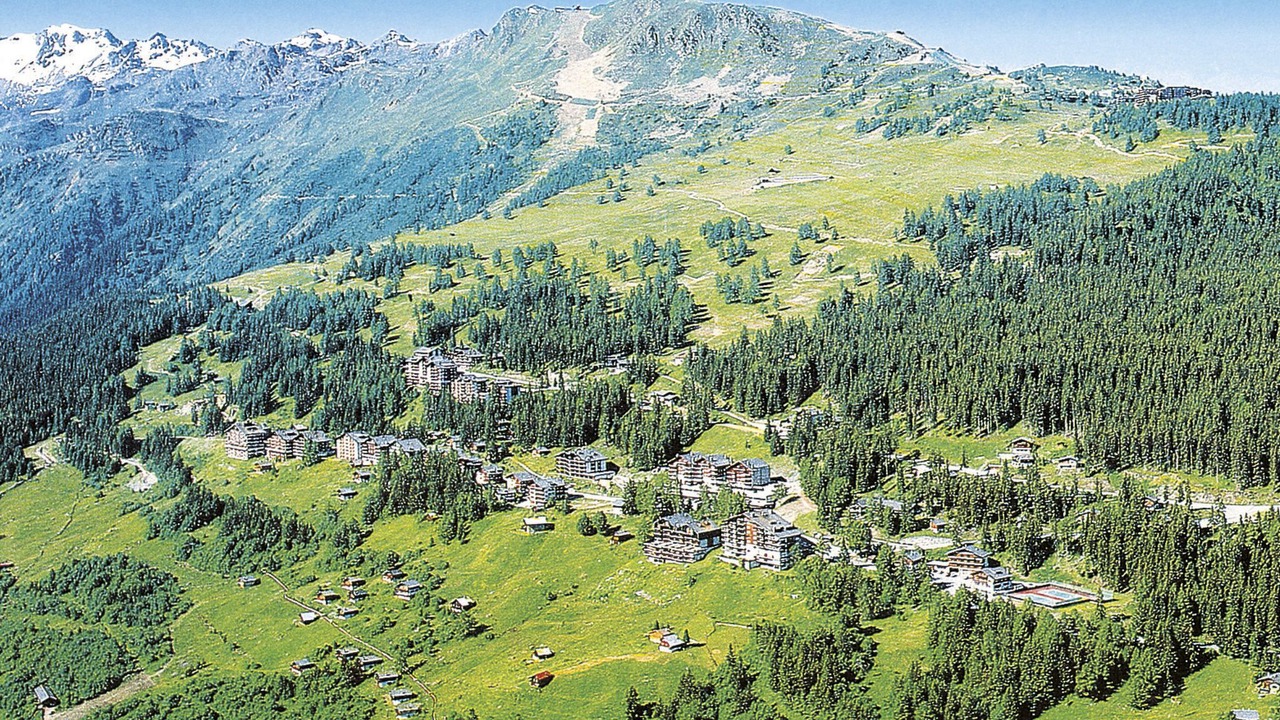 Photo of Others in Vex