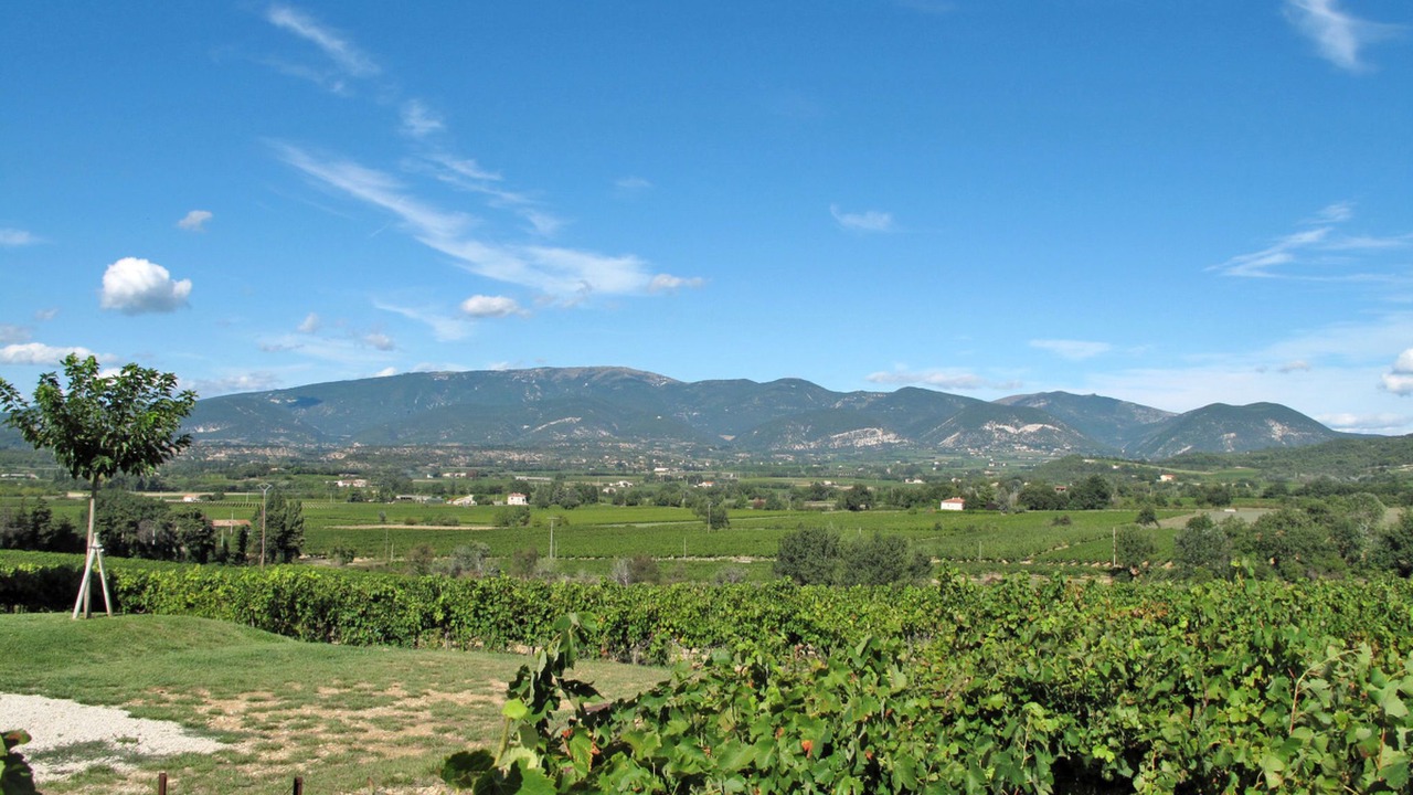 Photo of Others in Valreas