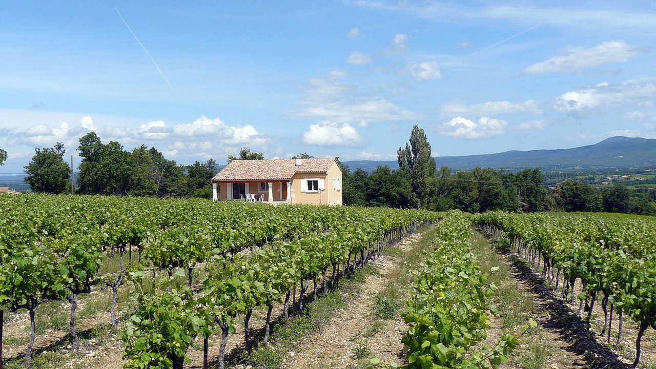 Photo of Others in Valreas