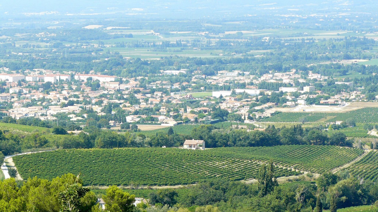 Photo of Others in Valreas