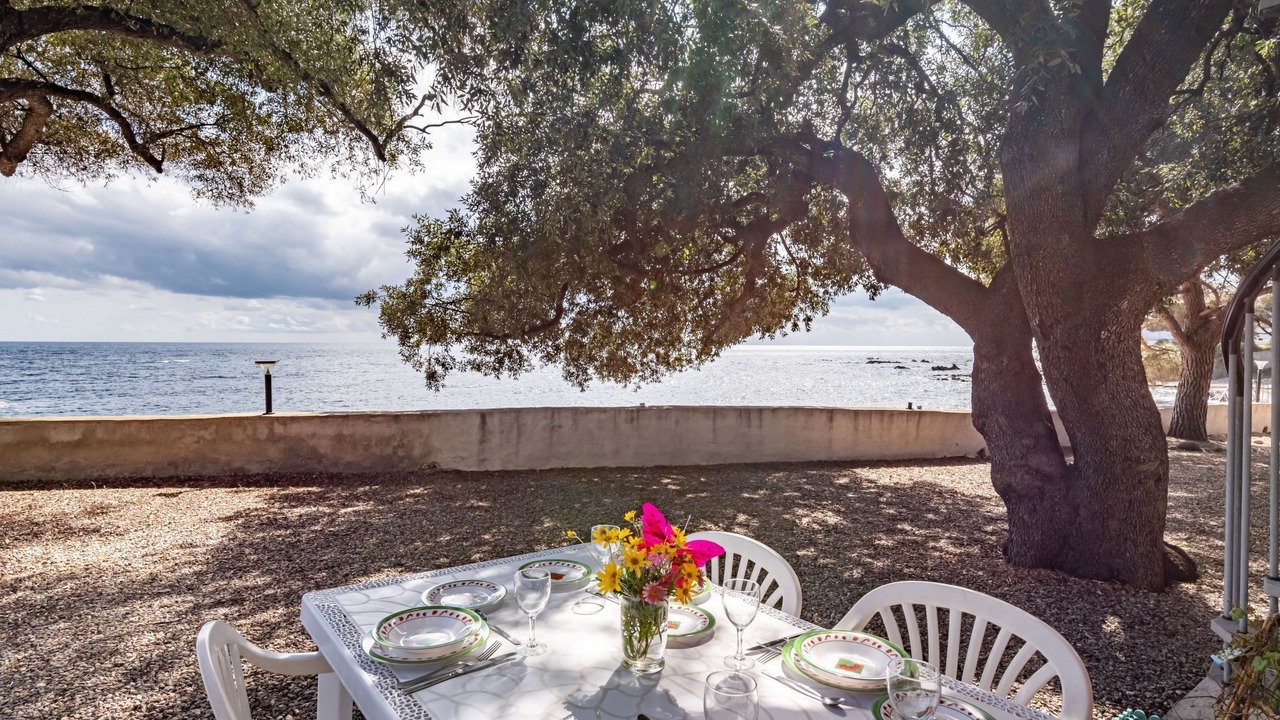 Photo of Outdoor in Sari-Solenzara