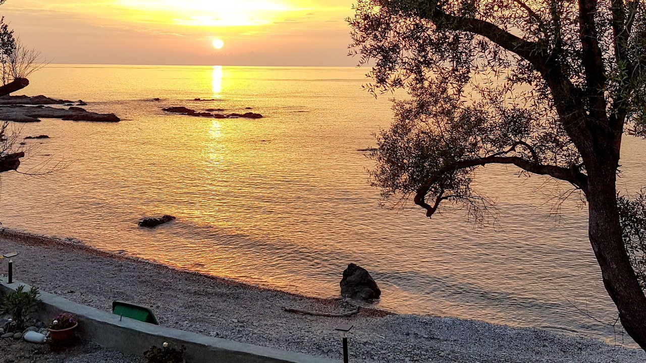 Photo of Outdoor in Sari-Solenzara