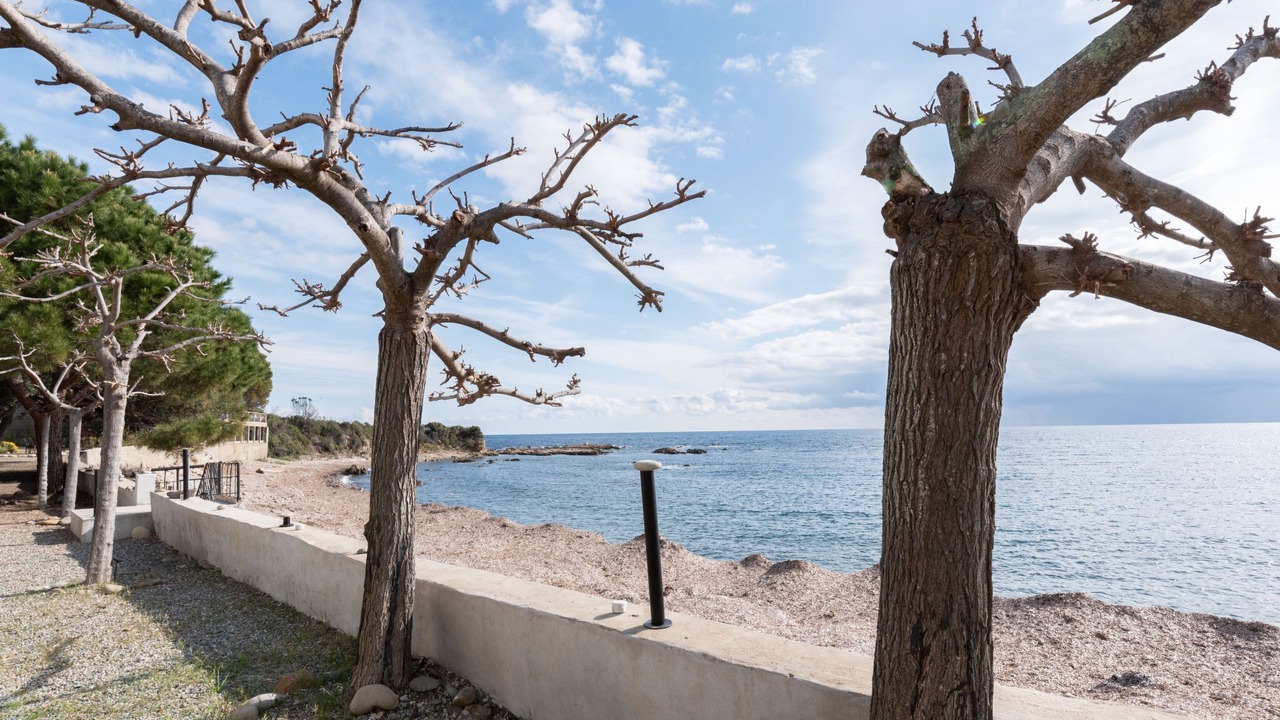 Photo of Others in Sari-Solenzara