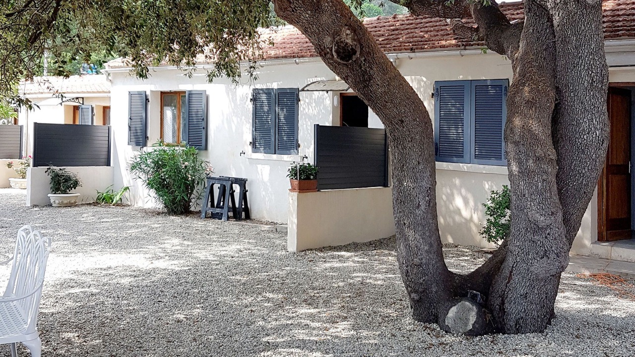 Photo of Outdoor in Sari-Solenzara