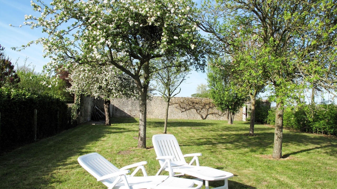 Photo of Others in Commes