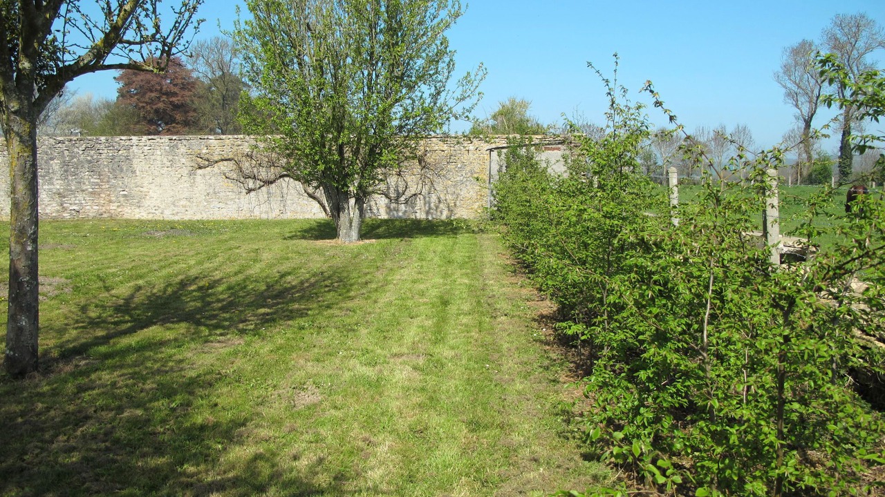 Photo of Others in Commes