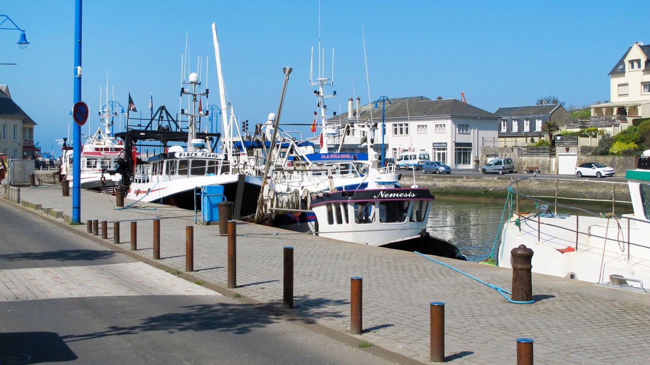 Photo of Others in Commes