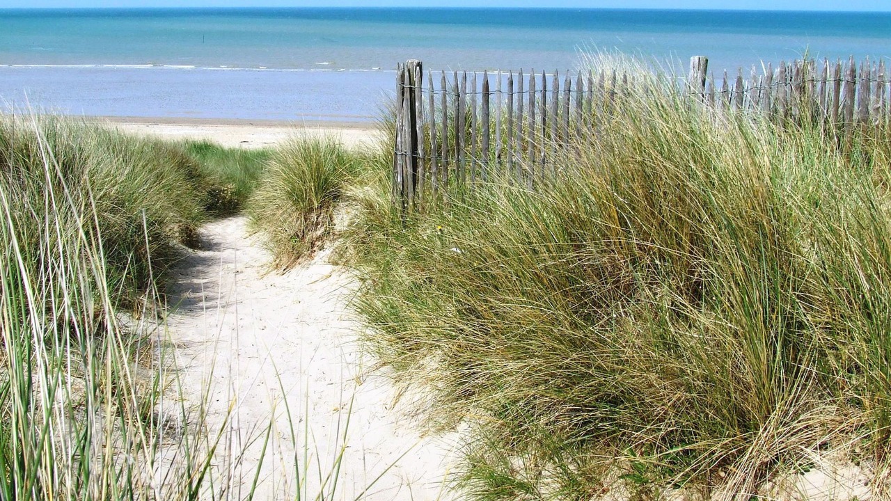 Photo of Others in Hauteville-sur-Mer