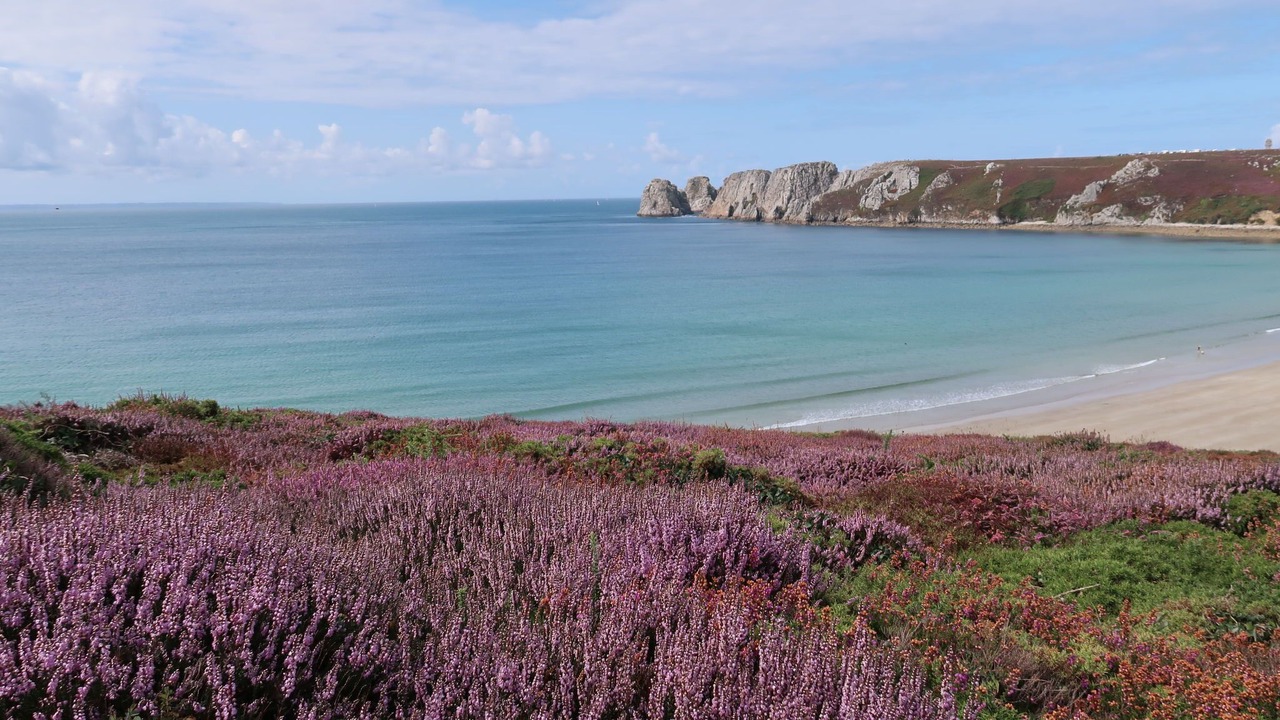 Photo of Others in Morgat