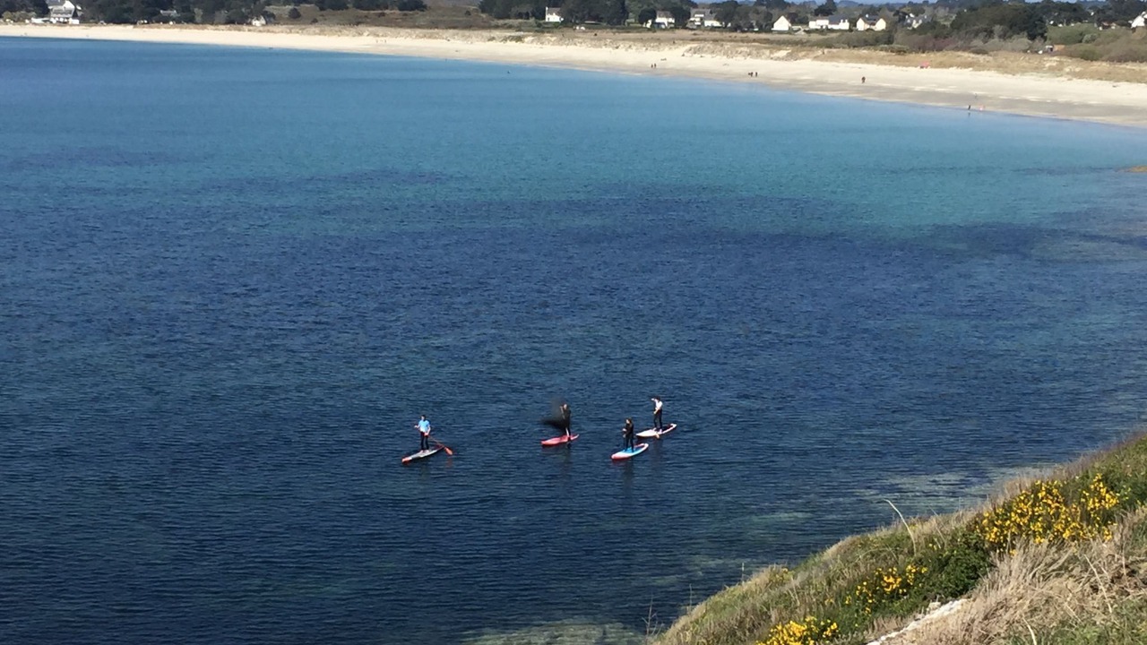 Photo of Others in Saint-Gildas-de-Rhuys