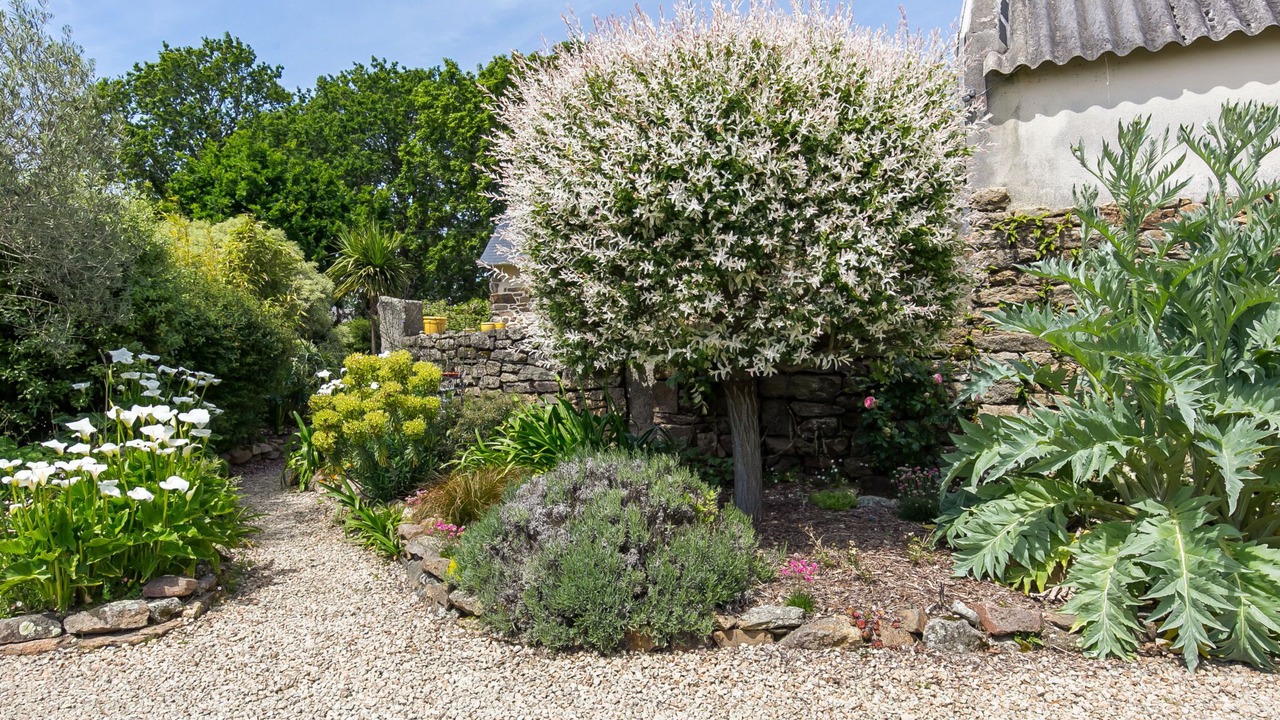 Photo of Others in Tregunc