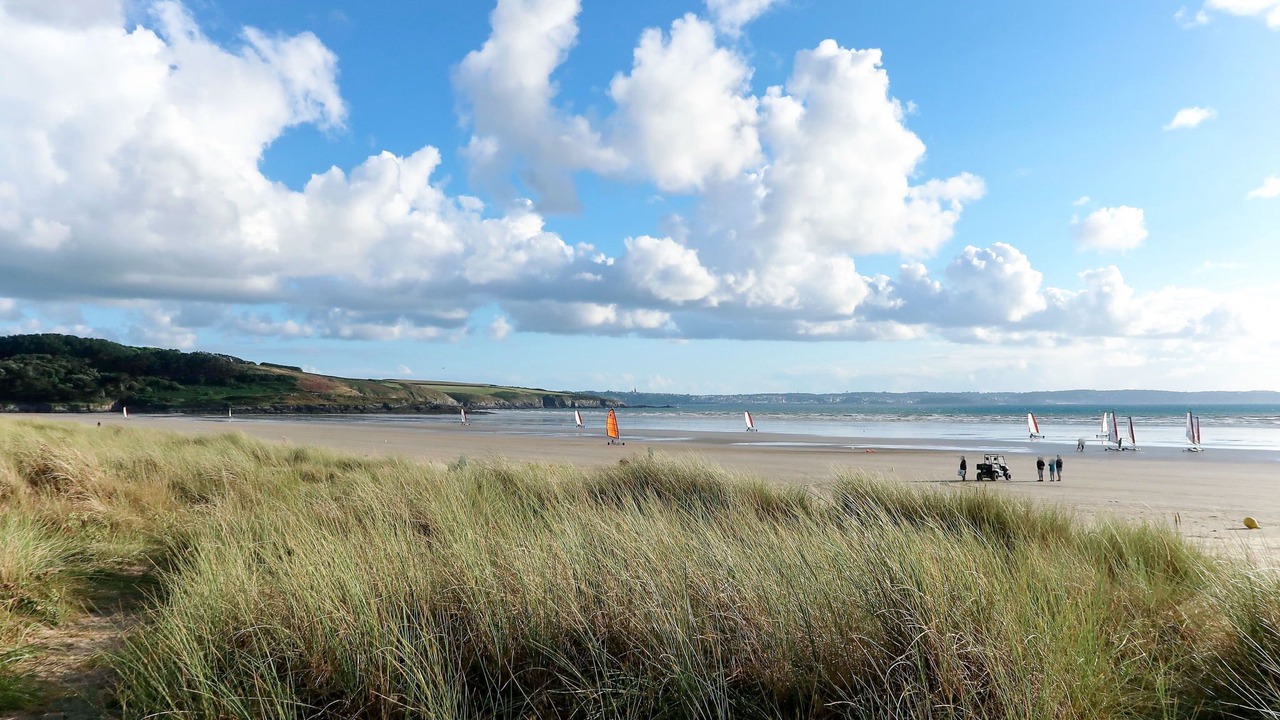 Photo of Others in Cast