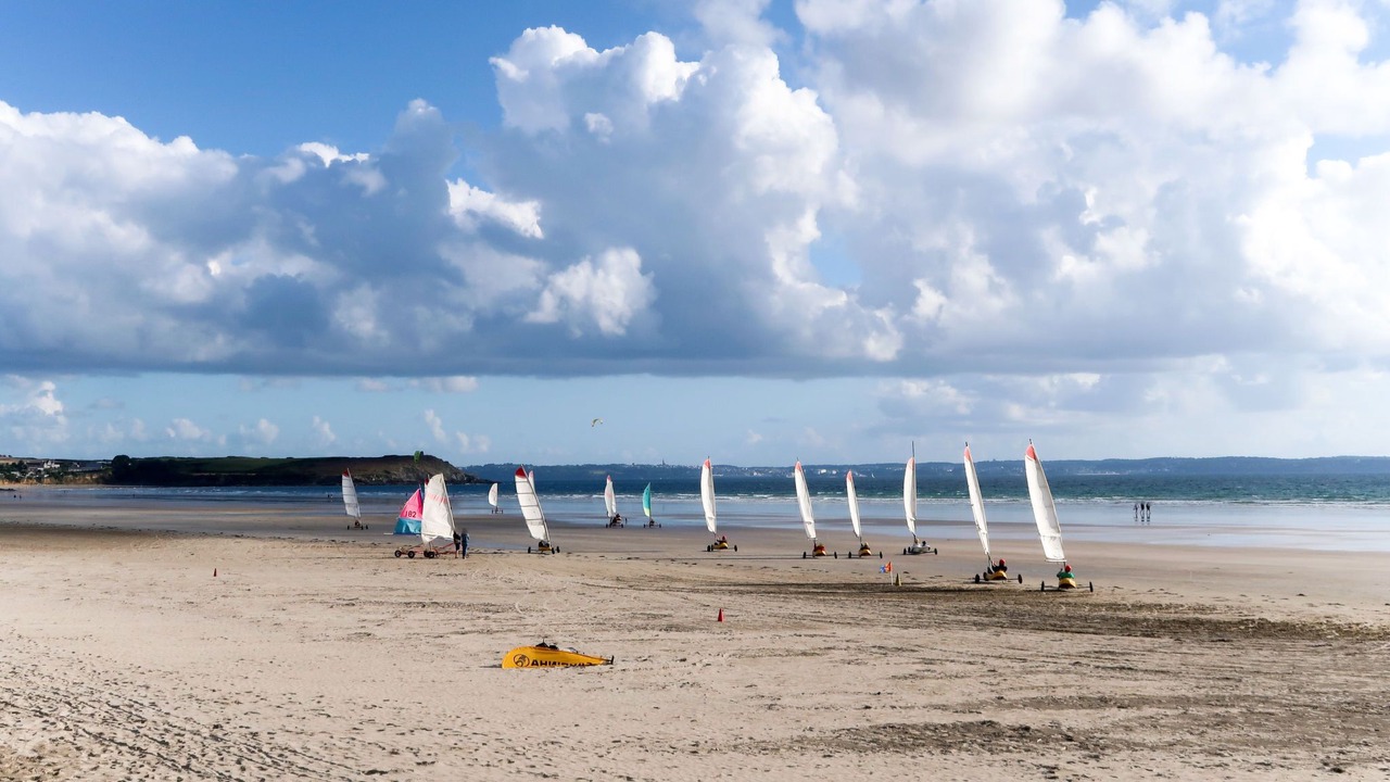 Photo of Others in Cast