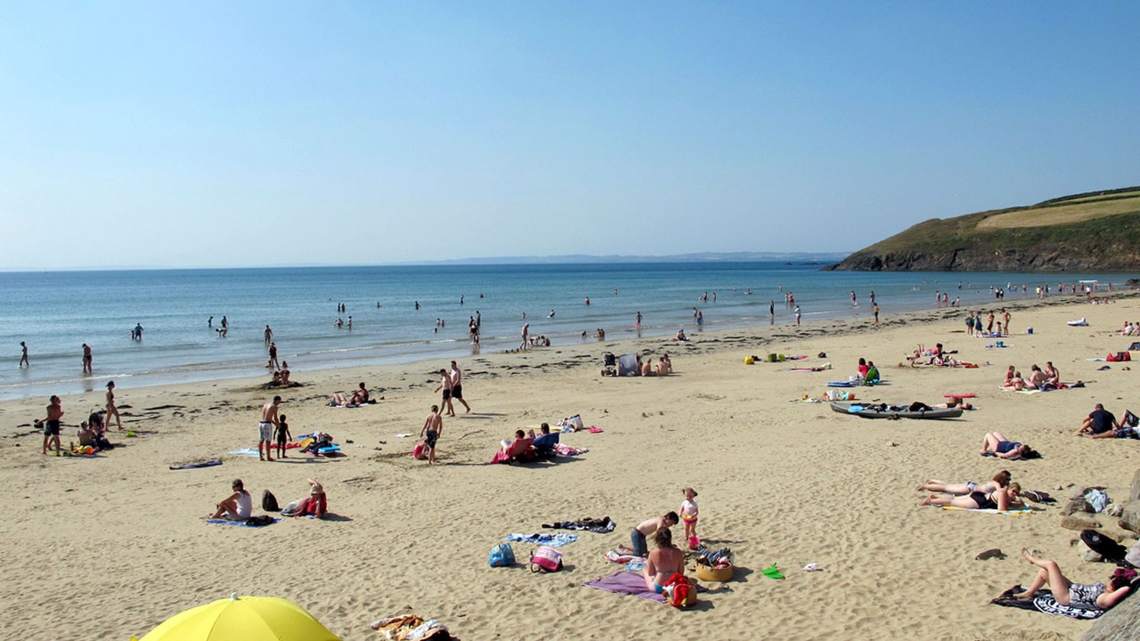 Photo of Others in Cast