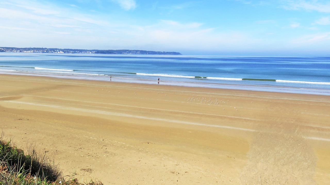 Photo of Others in Cast