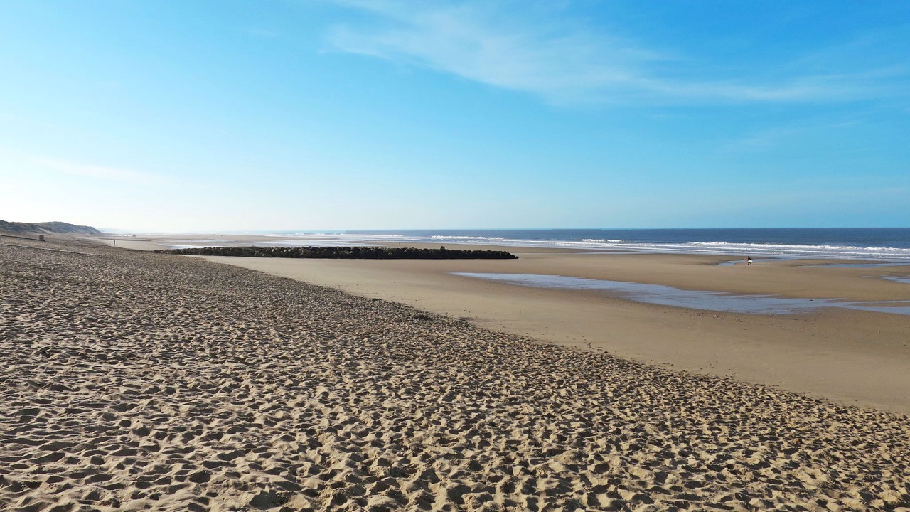 Photo of Others in Vendays-Montalivet