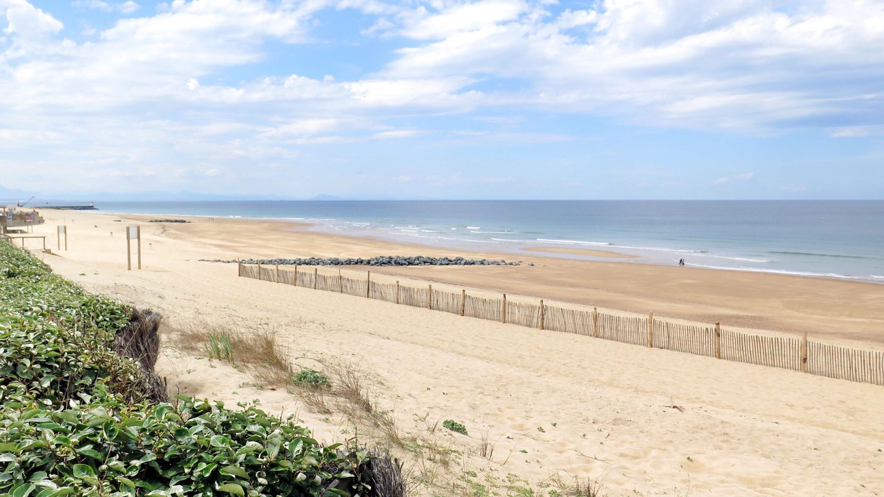 Photo of Others in Soorts-Hossegor