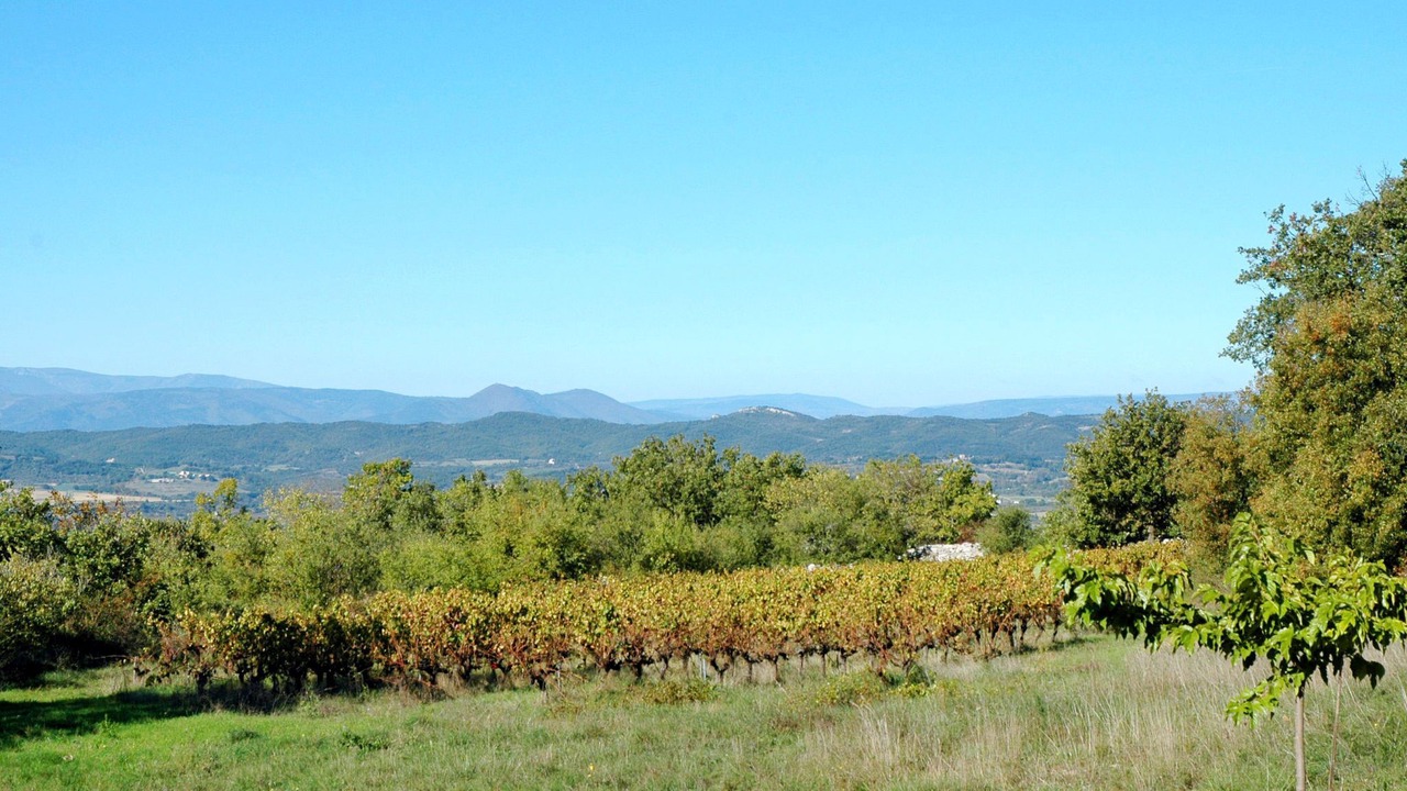 Photo of Others in Barjac