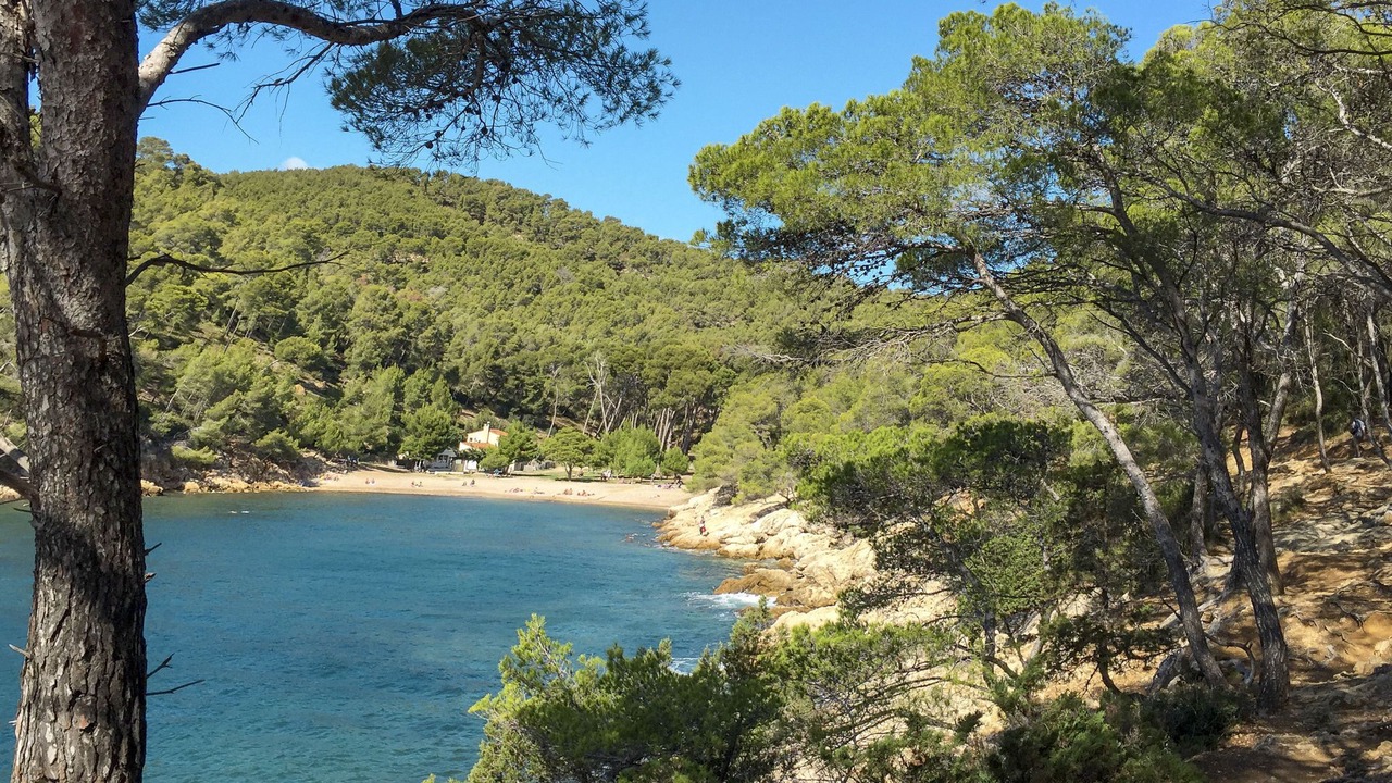 Photo of Others in Le Brusc