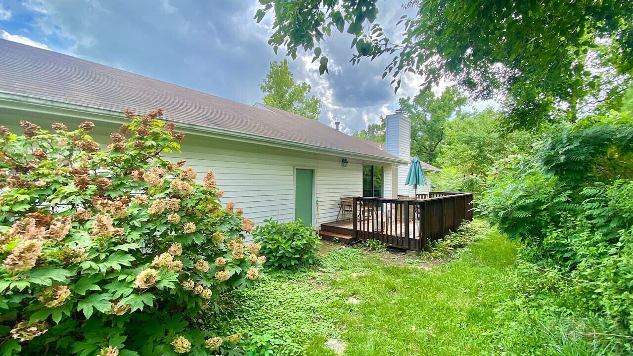 Photo of Outdoor in Olivette