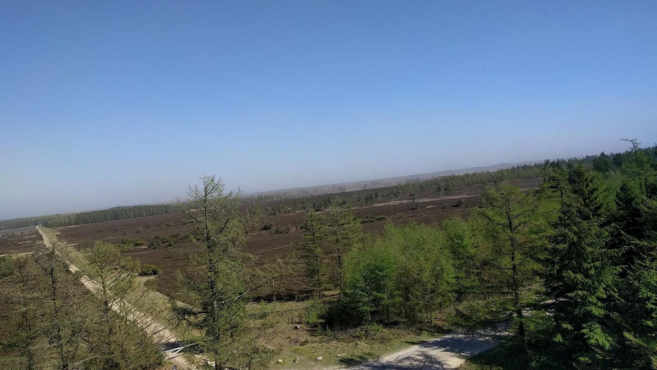 Photo of Others in Hovborg