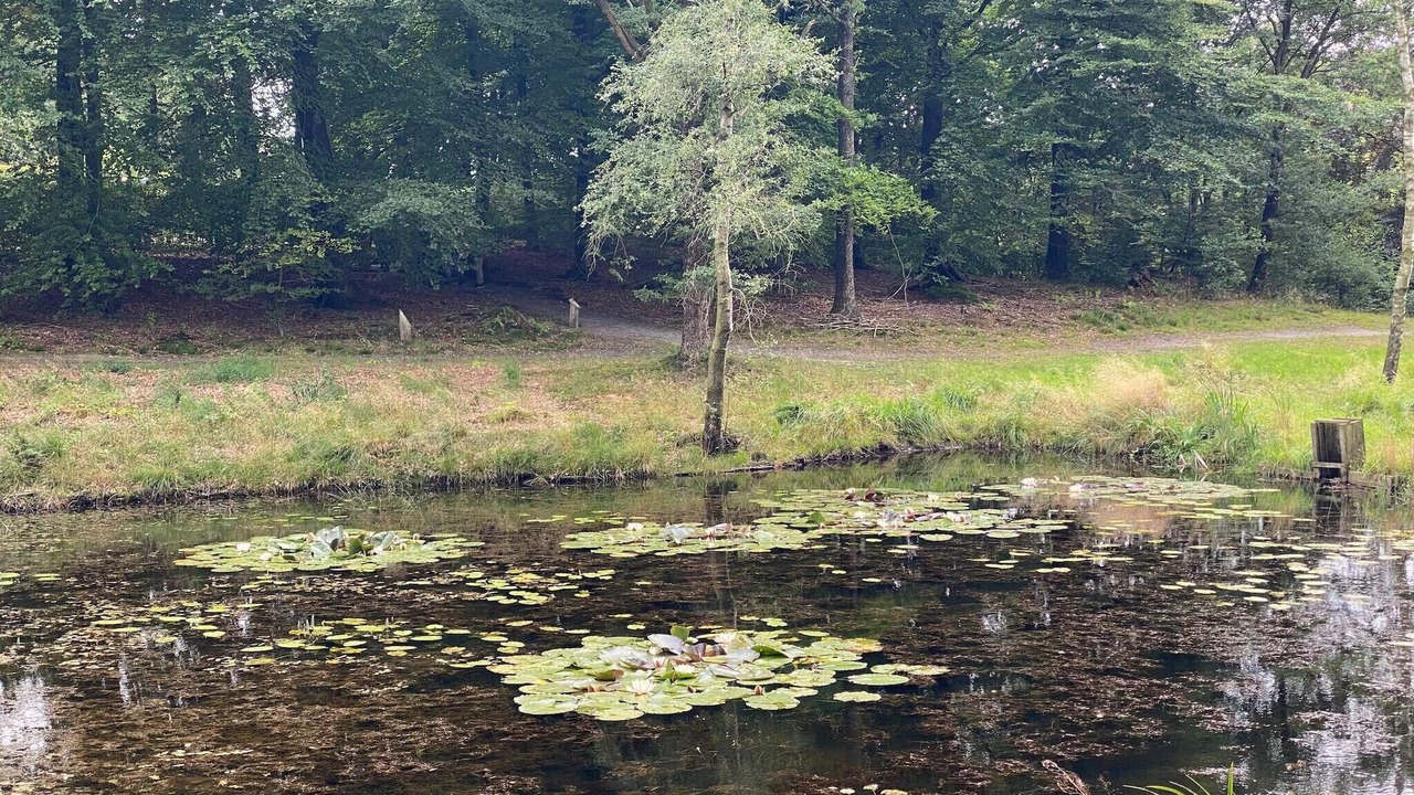 Photo of Others in Hovborg