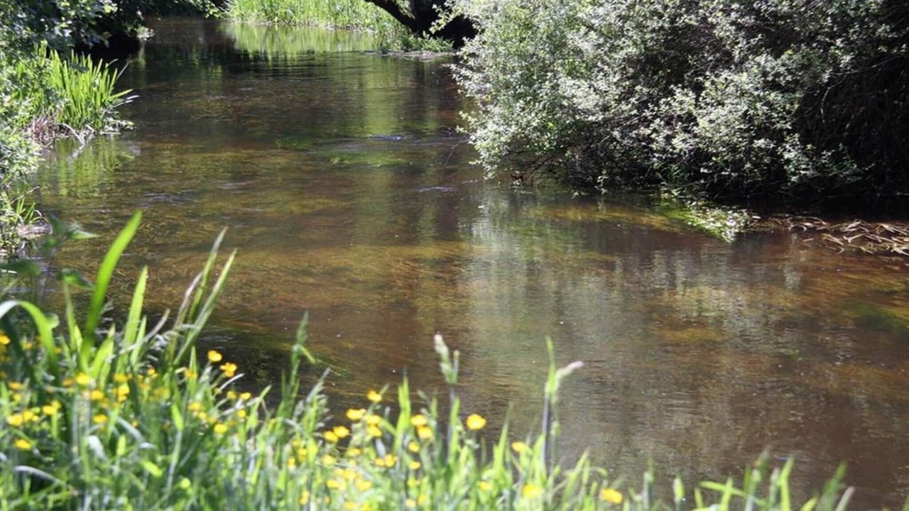Photo of Others in Hovborg