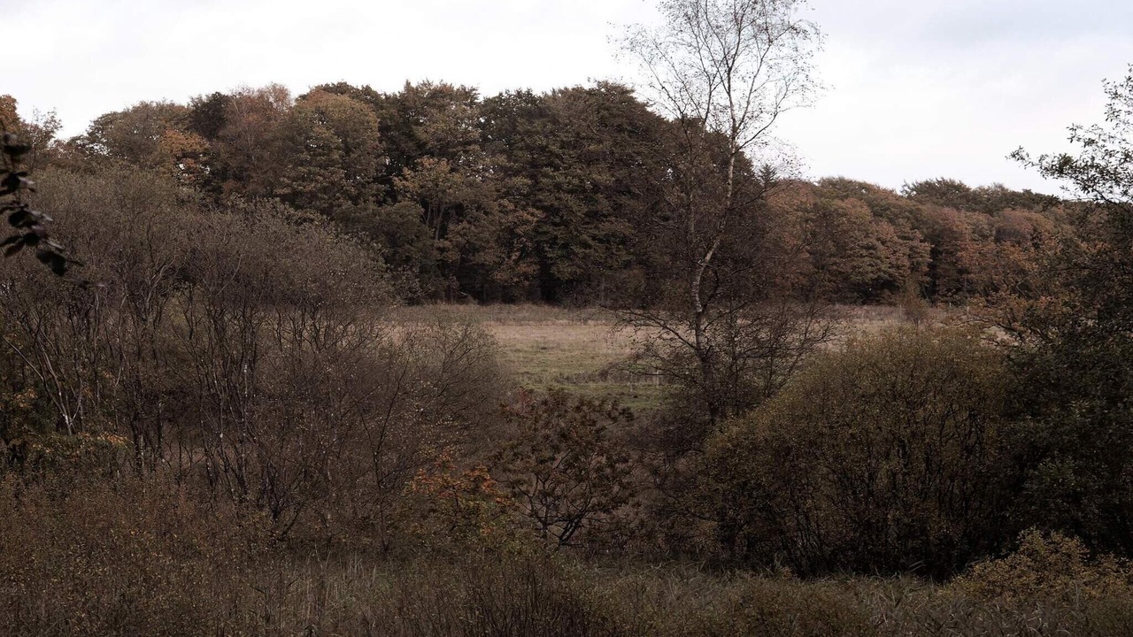 Photo of Others in Hovborg