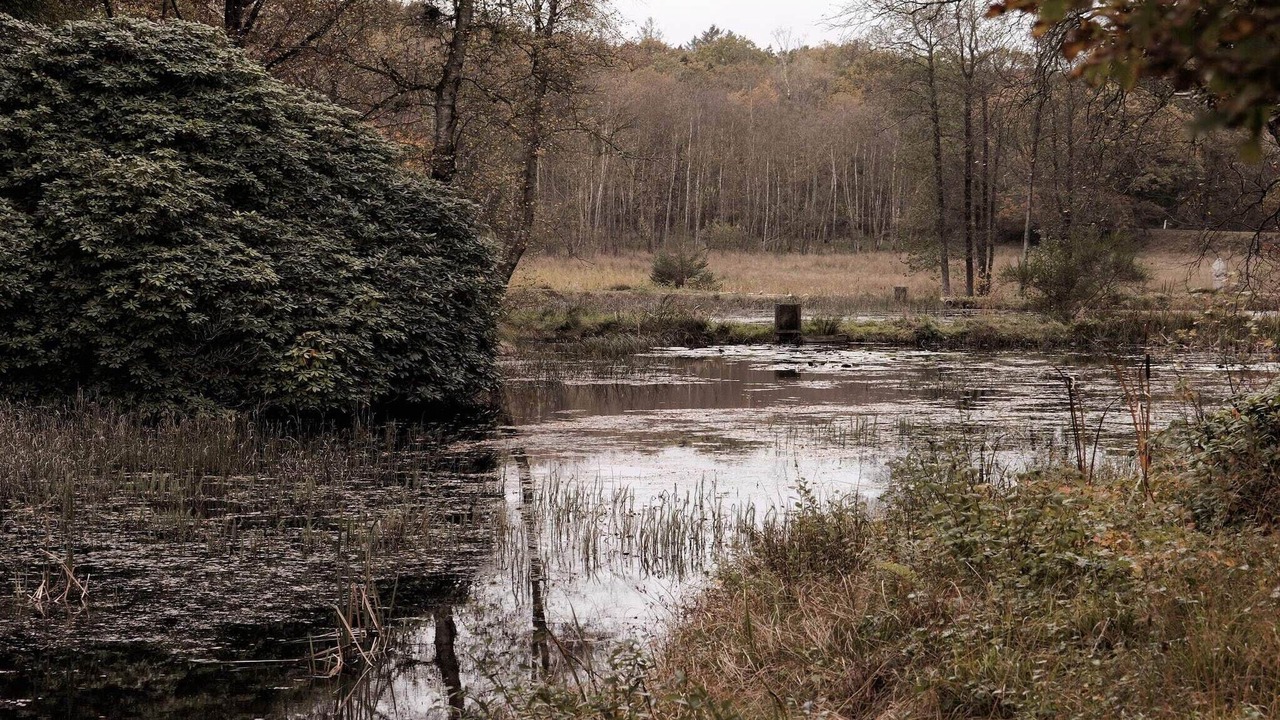 Photo of Others in Hovborg
