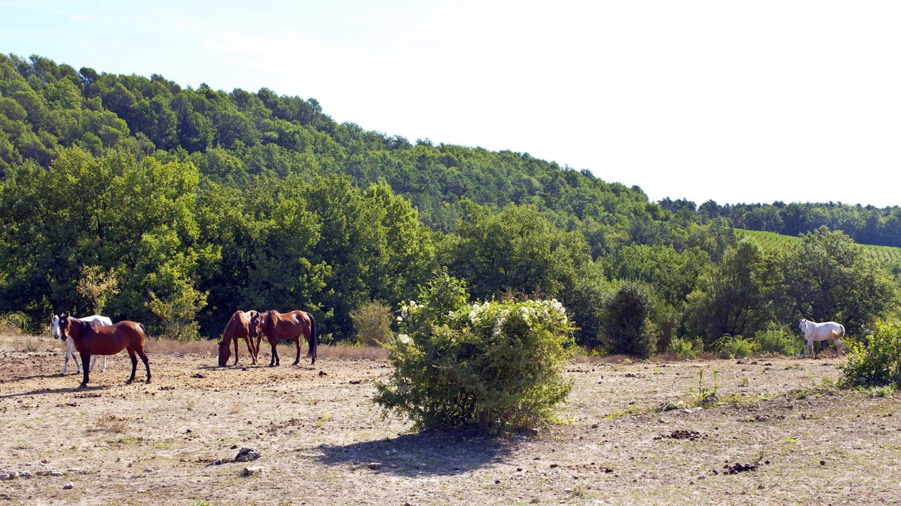 Photo of Outdoor in Callian