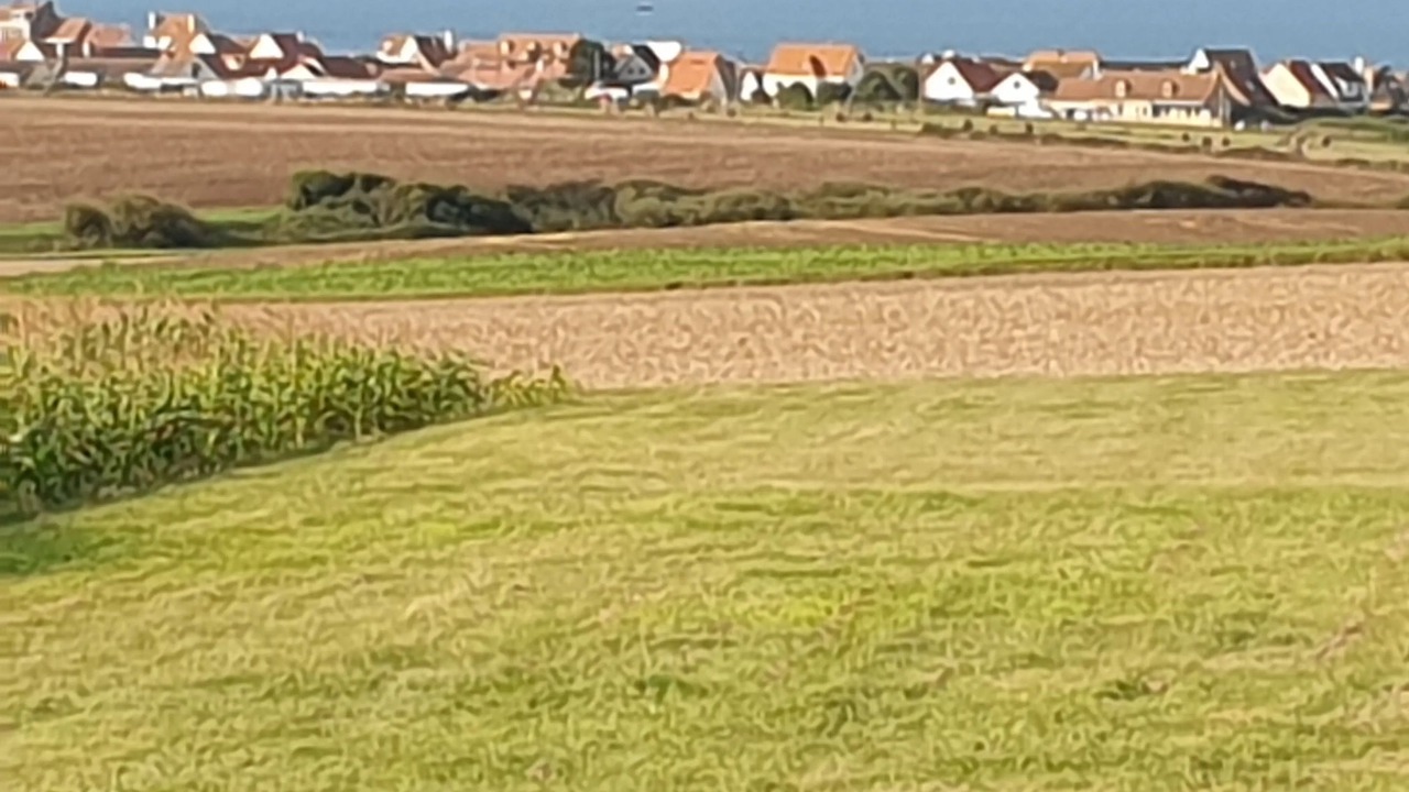 Photo of Outdoor in Audinghen