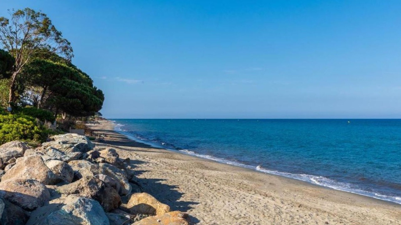 Photo of Others in Santa-Lucia-di-Moriani