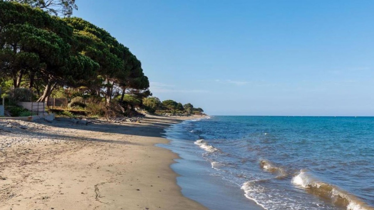 Photo of Others in Santa-Lucia-di-Moriani