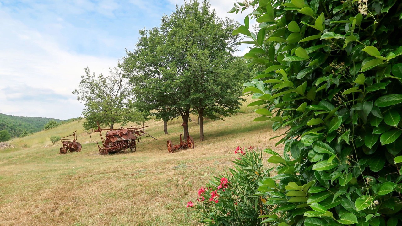 Photo of Others in Puimichel