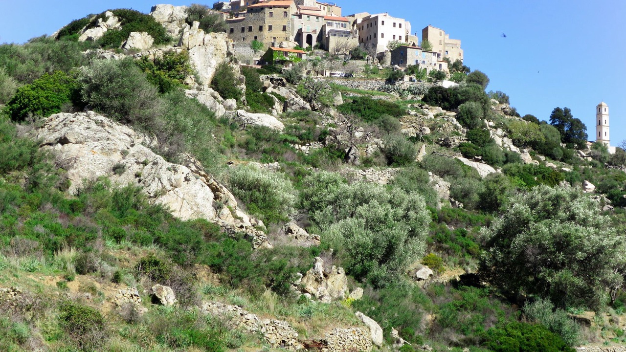 Photo of Outdoor in SantʼAntonino