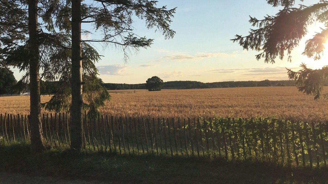Photo of Outdoor in Tureby