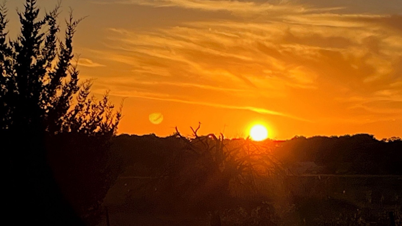 Photo of Outdoor in La Grange