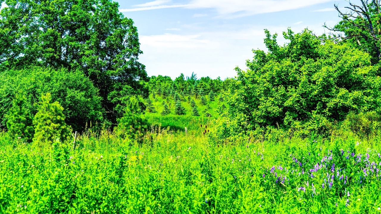 Photo of Outdoor in Brampton