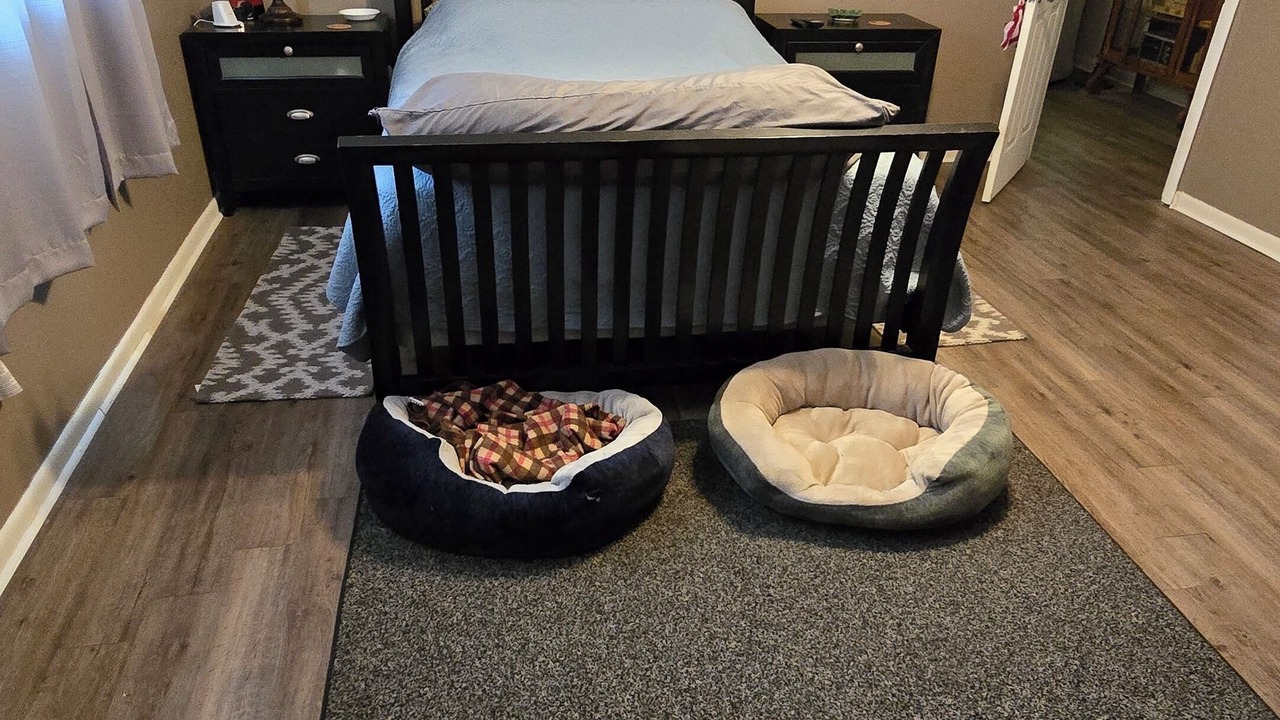 Photo of Bedroom in Homosassa