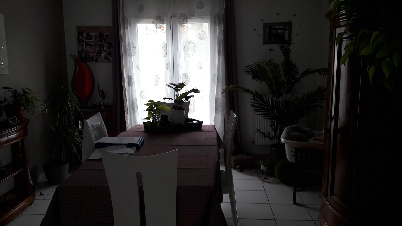 Photo of Others in Pluneret