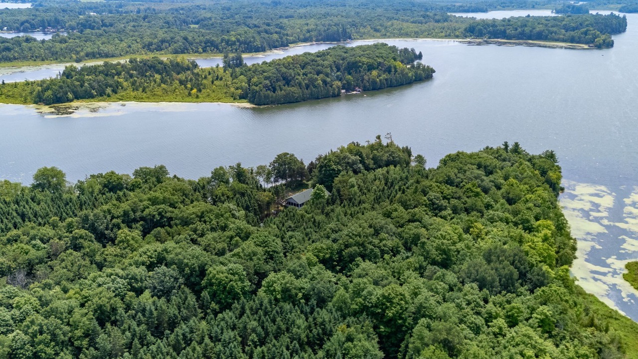 Photo of Outdoor in Lyndhurst
