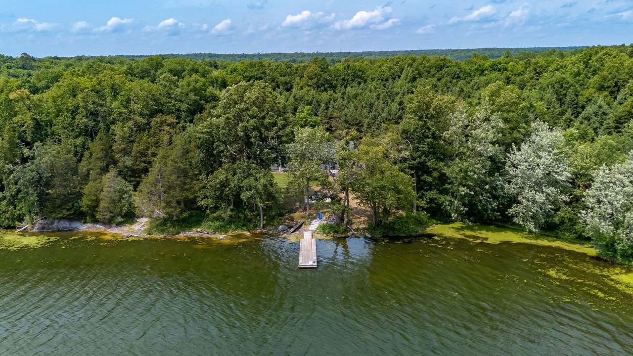 Photo of Outdoor in Lyndhurst