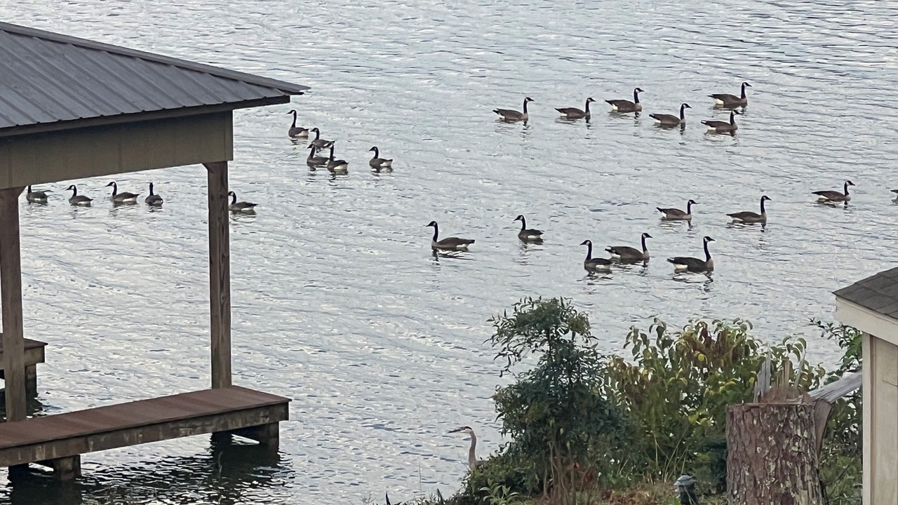 Photo of Outdoor in Centre
