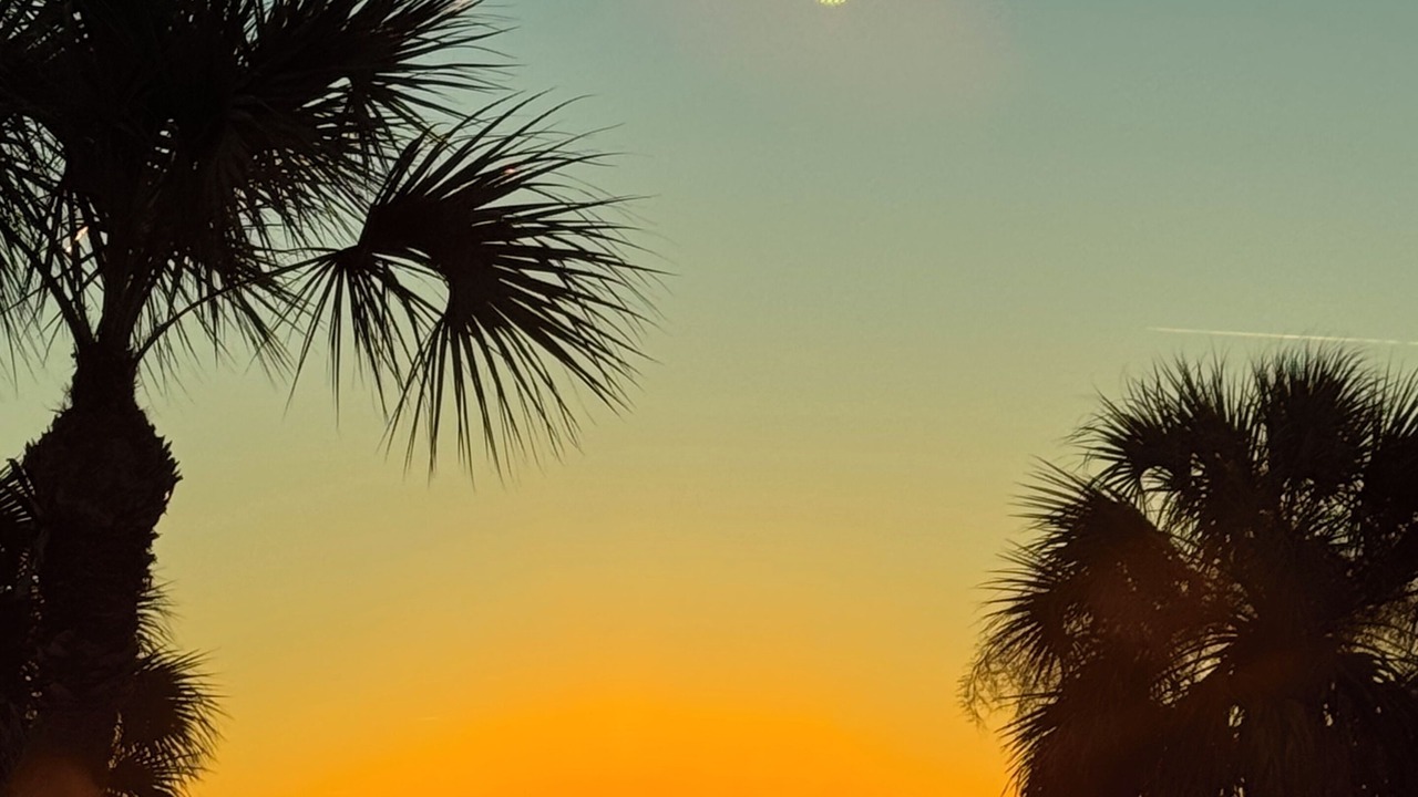 Photo of Others in Crawfordville