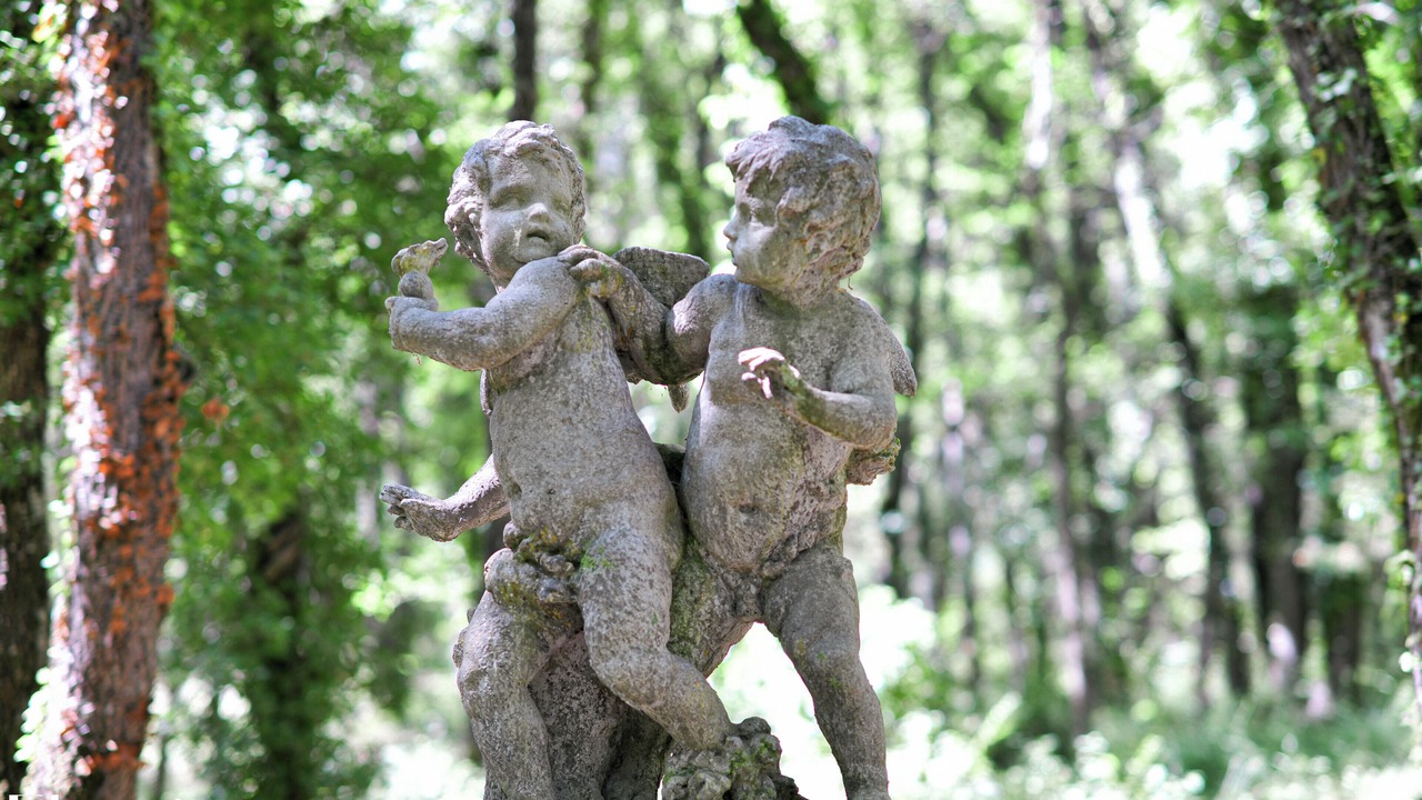 Photo of Outdoor in Le Puy-Sainte-Reparade