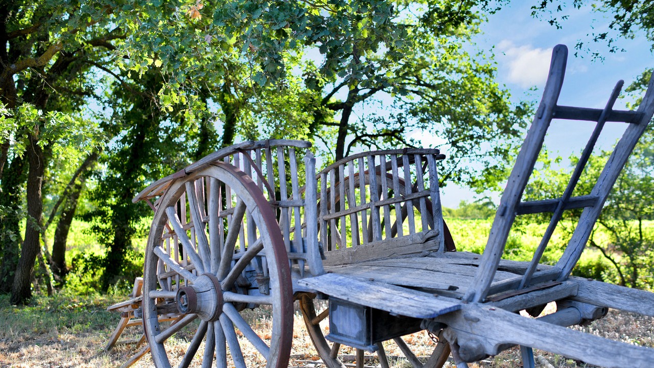Photo of Outdoor in Le Puy-Sainte-Reparade