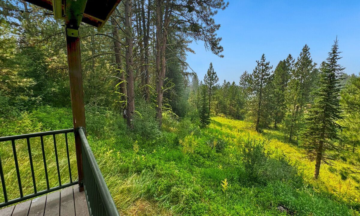 Photo of Outdoor in Cascade